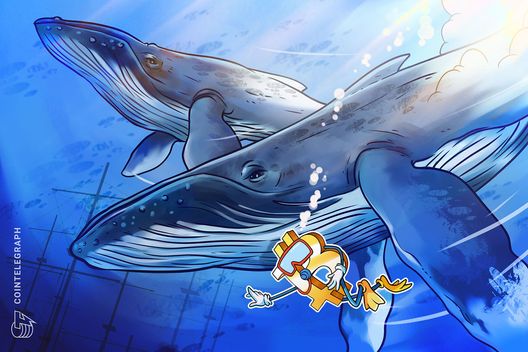 No, whales are not accumulating massive amounts of bitcoin: cryptoquant