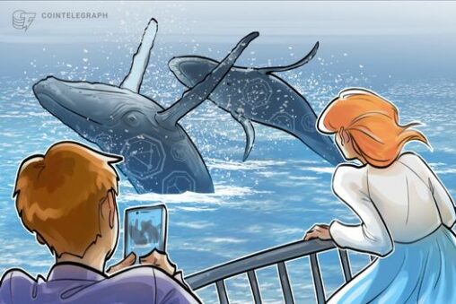 Whales move crypto to binance, but buyers are missing: analyst