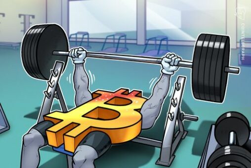 Bitcoin liquidation data point to ‘absurd’ potential rally to $100k: analyst