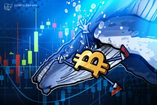 Bitcoin ‘og whales’ sell $286m, but odds of $100k btc remain high