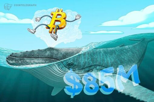 Satoshi era whale moves $85m in bitcoin after 13 years