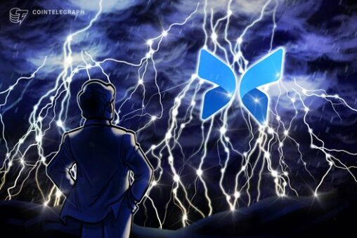 Bitwise to launch onchain vaults via moprho