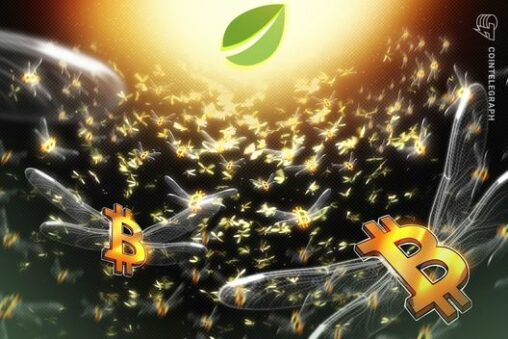 Bitfinex bitcoin longs hit 2 year high: is a rally to $100k possible?