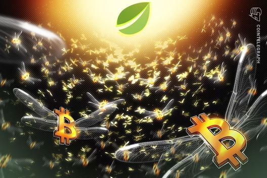 Bitfinex bitcoin longs hit 2 year high: is a rally to $100k possible?