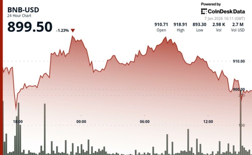 Bnb falls below $900 even after network upgrade, ecosystem developments as market declines
