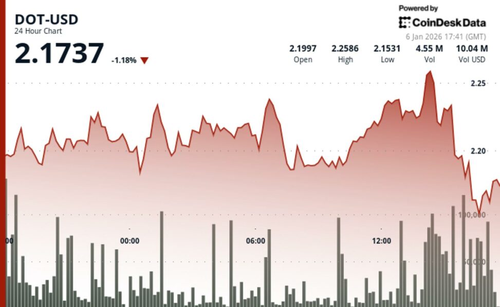 Polkadot's dot declines in u.s. afternoon selloff