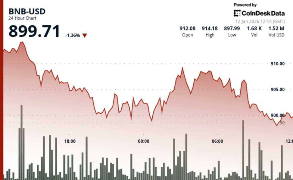 Bnb slides to $900 as traders look to havens