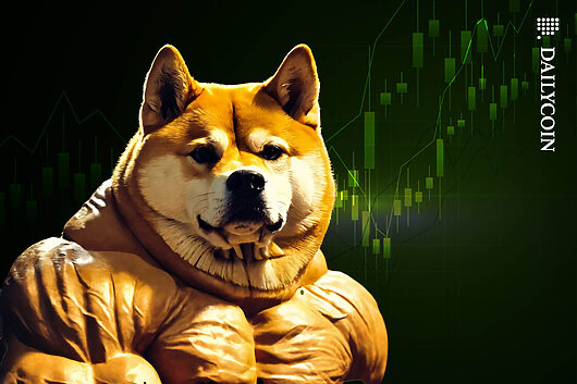 Dogecoin’s “third test” zone loaded, price presses key range high