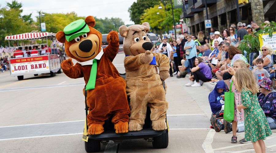 Are retail investors ‘smarter than the average bear’?