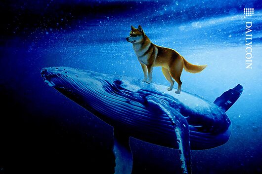 Shiba inu whales wake up: 111% signals smart money return