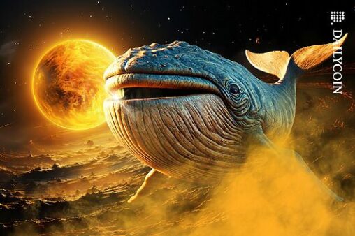 Bitcoin $100k in sight: whales signal possible rebound?