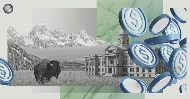 We have a us state issued stablecoin now??