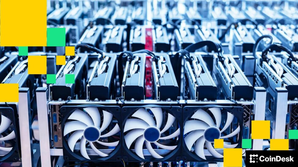Early 2026 tailwinds for bitcoin miners as hashrate falls, profitability improves: jpmorgan