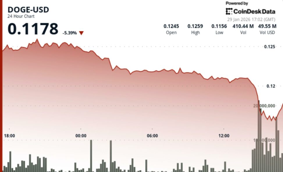 Dogecoin slumps 7% as bitcoin risk off rattles memecoin bets