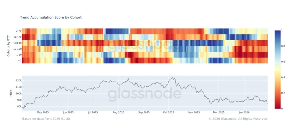 Retail traders are running for the exit amid bitcoin's selloff, while 'mega whales' are quietly buying the dip
