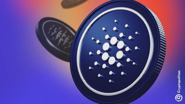 Cardano shares $77m of tokens to 11 delegated reps for ‘resilience and diversity’ goals
