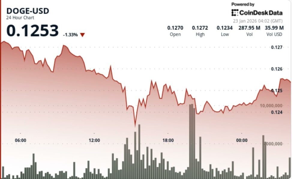 Dogecoin falls 2% as liquidation pressure hits meme coins