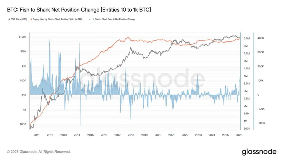 Large bitcoin holders buy the most coins since the ftx collapse of 2022