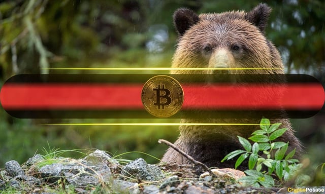 'bitcoin isn't in a bull market:' expert warns $80k wasn't the bottom