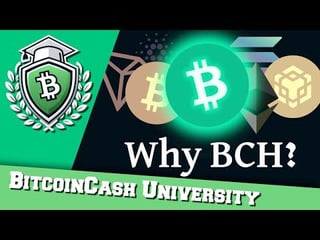 Why bch? the case for utxo smart contracts