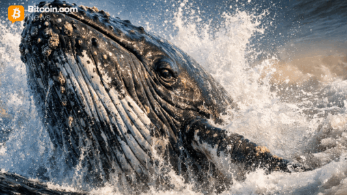 2016 era bitcoin whale suddenly shifts 1,087 btc in onchain awakening