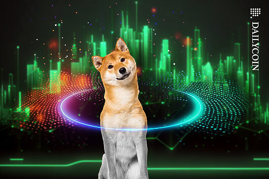 Shiba inu on lock: 80t net outflow maintains whale control