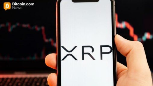 Xrp erases january gains amid market wide capitulation