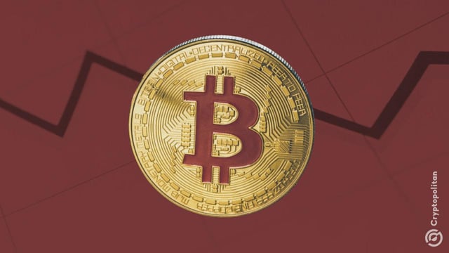 Bitcoin falls out of the top 10 assets by market cap