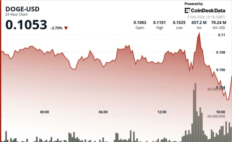 Dogecoin falls 7% as risk off trade hits ethereum tied tokens