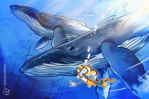 New bitcoin whales are trapped underwater, but for how long?