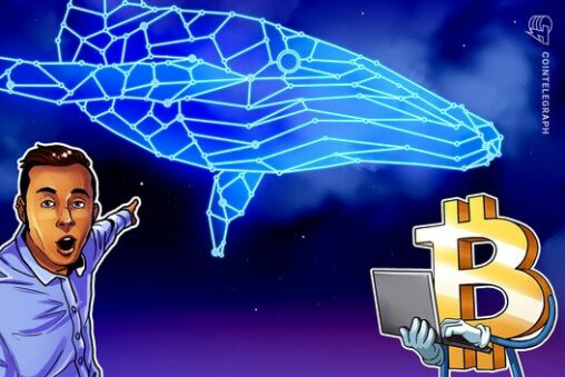 Bitcoin whales took advantage of $60k price dip, scooping up 40k btc