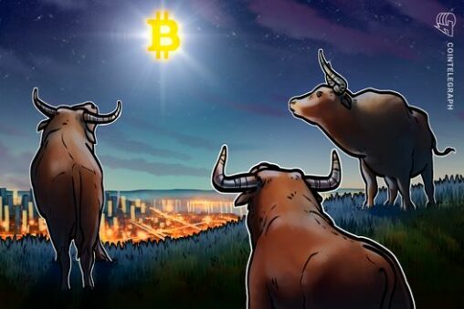 Top bitcoin traders refuse to turn bullish despite btc’s 14% rebound: here’s why