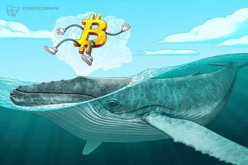 Bitcoin bulls blitz $69k as retail traders pressure short positioning