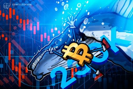 Bitcoin whales participate in v shaped accumulation, offsetting 230k btc sell off