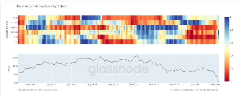 Broad based bitcoin accumulation emerges after sharp capitulation