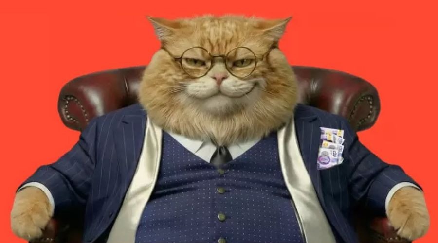 Ig looks to put the (fat) cat among the pigeons
