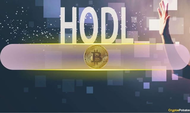 Bitcoin slumps in february, yet hodlers and miners signal support