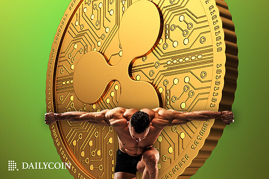 Analyst: “most xrp holders misjudge what the token is for”