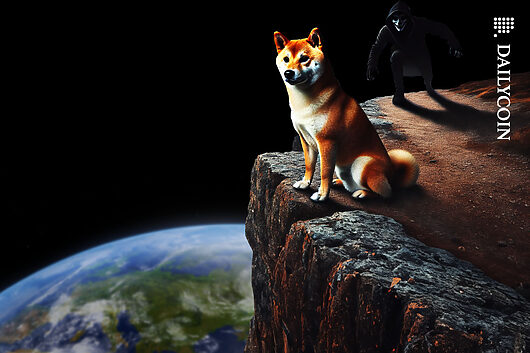 Shiba inu hits rock bottom: price reversal or capitulation?