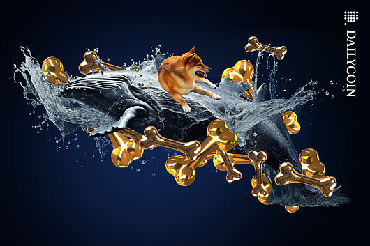 Analyst warns shiba inu holders: optimism isn’t a strategy
