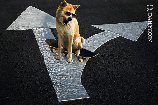 Shiba inu clings to support: is shib surviving the grind?