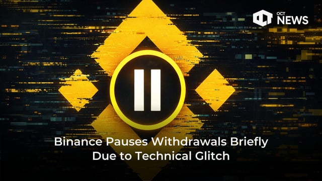 Binance paused withdrawals briefly technical glitch or conspiracy?