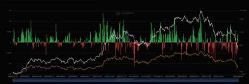 U.s. bitcoin etfs register back to back inflows for first time in a month