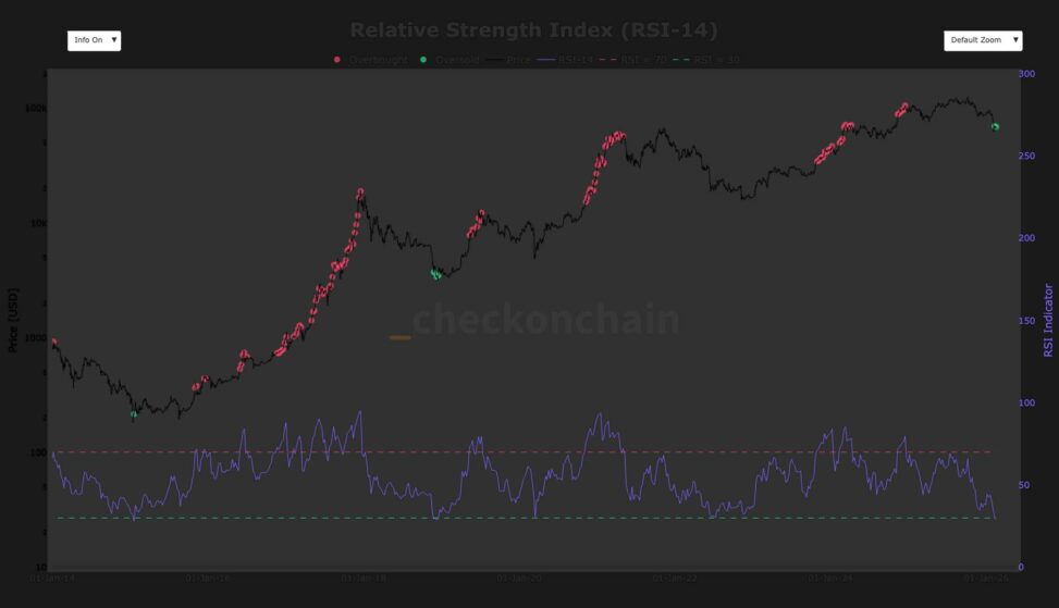 Why bitcoin’s rare oversold rsi crash signals a long, slow grind ahead