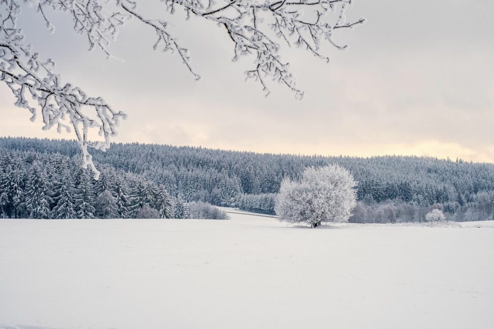 Crypto markets feel the chill, base, ether.fi reorganize layer 2 landscape