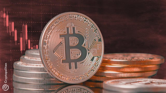 Spot volume on centralized markets falls for five months in a row