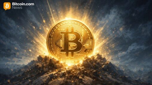 Fidelity discusses bitcoin moving from short term trade to long term macro portfolio asset