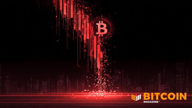 Bitcoin price plunges 40% from all time highs to one year lows