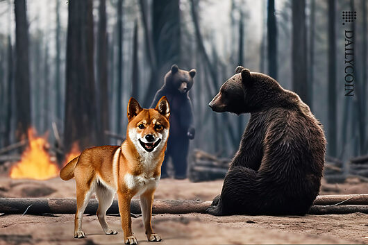 Shiba inu’s stock thinning: will supply crunch boost shib?