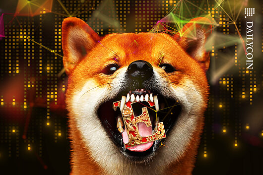 Is shiba inu (shib) fetching first etf listing this month?